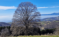 sui percorsi spirituali e meditazioni